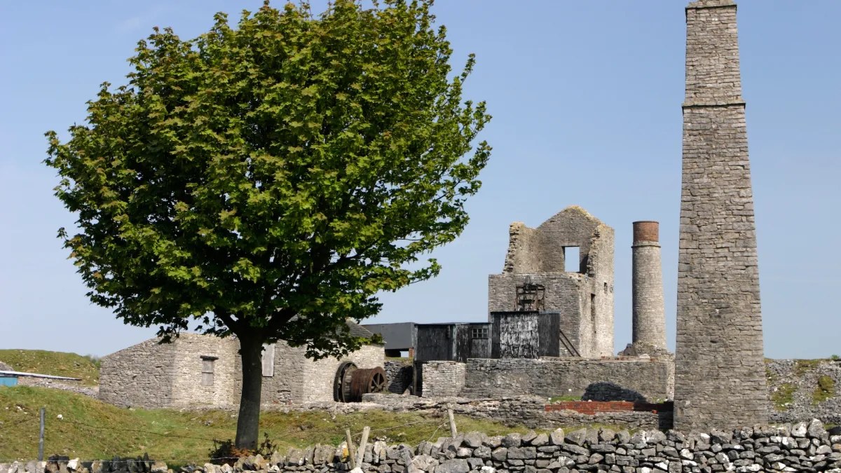 Orta Çağ’da kurşun zehirlenmesinin ne zaman başladığı insan dişleriyle belirlendi